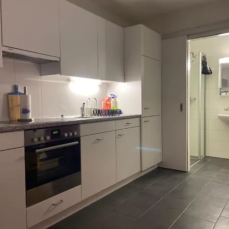 Spielzimmer Am Bodensee Apartment Rorschach